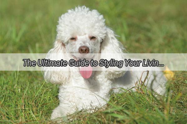 The Ultimate Guide to Styling Your Living Room How to Integrate Your Dogs Comfort into Your Home Decor